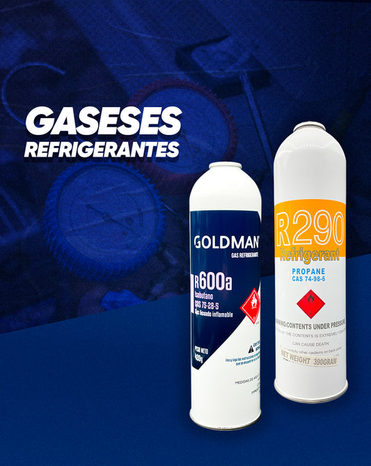 GASES