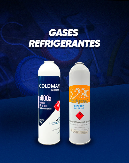 GASES